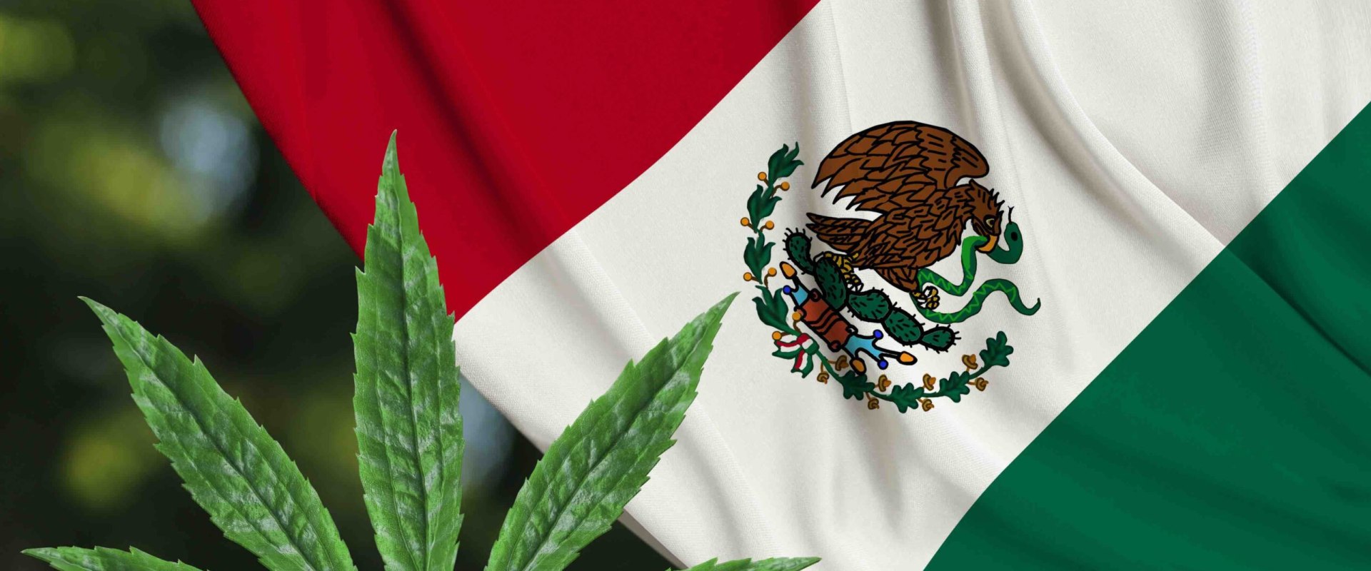 Is drug possession legal in mexico?